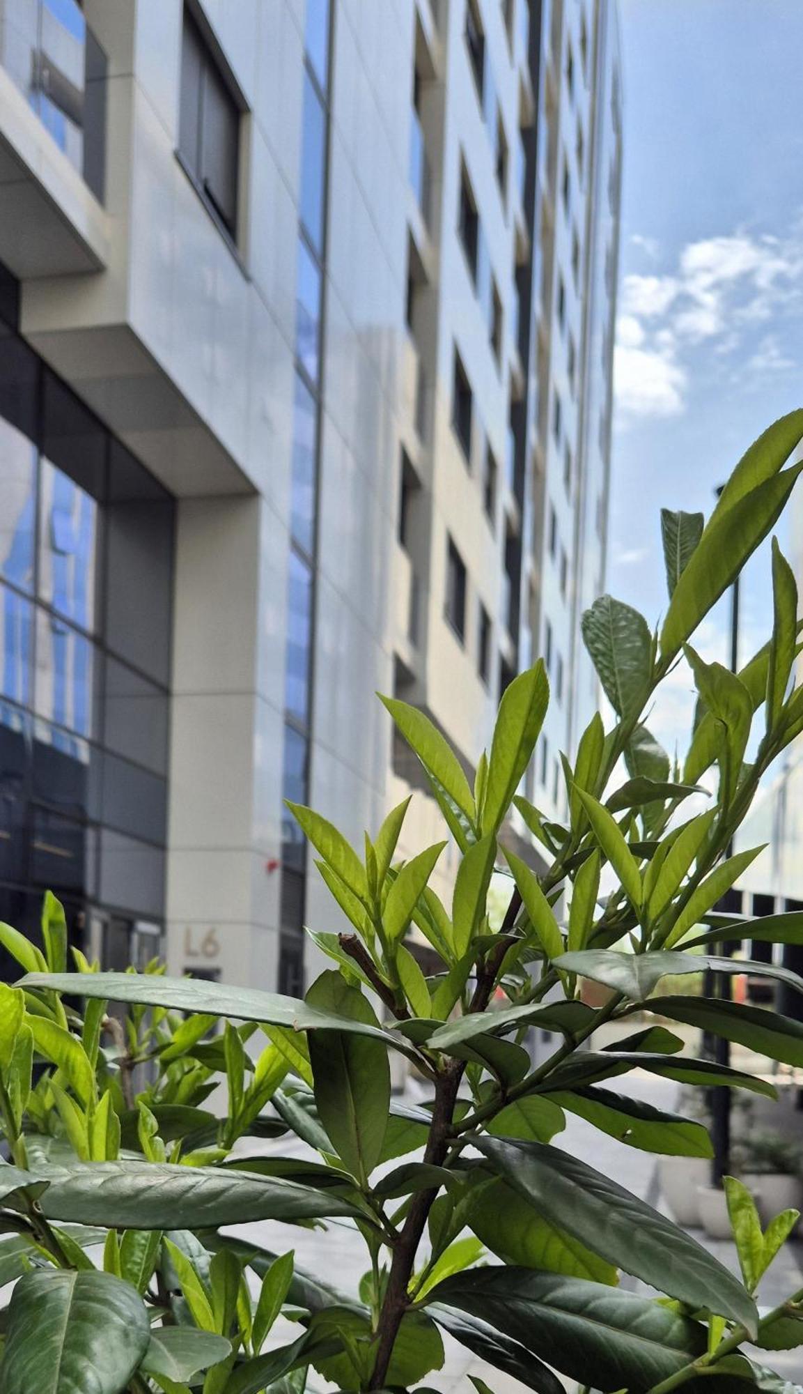 Apartment Diamond View Banjaluka Centar Stan Na Dan Banja Luka